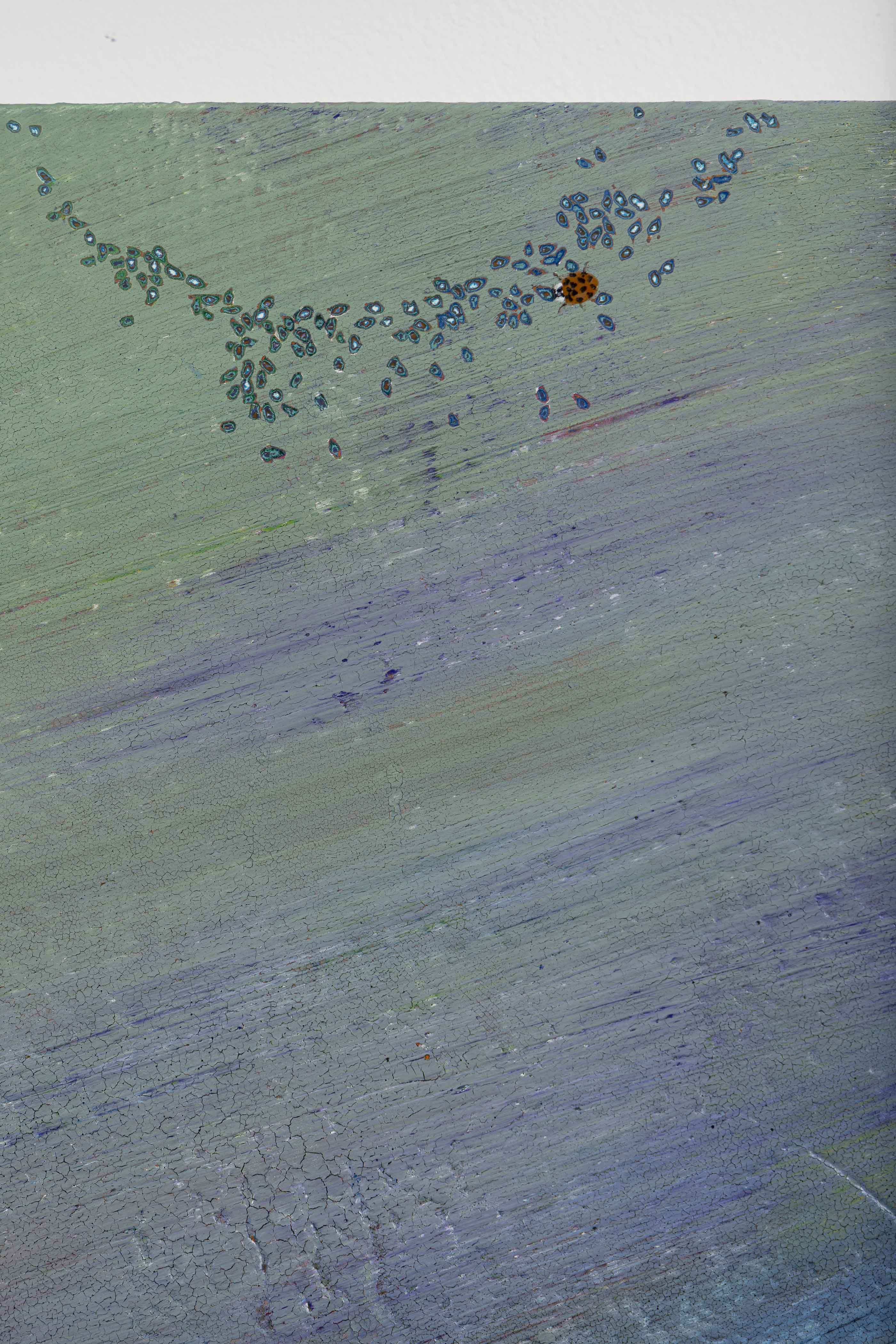 건조한 치약 거품