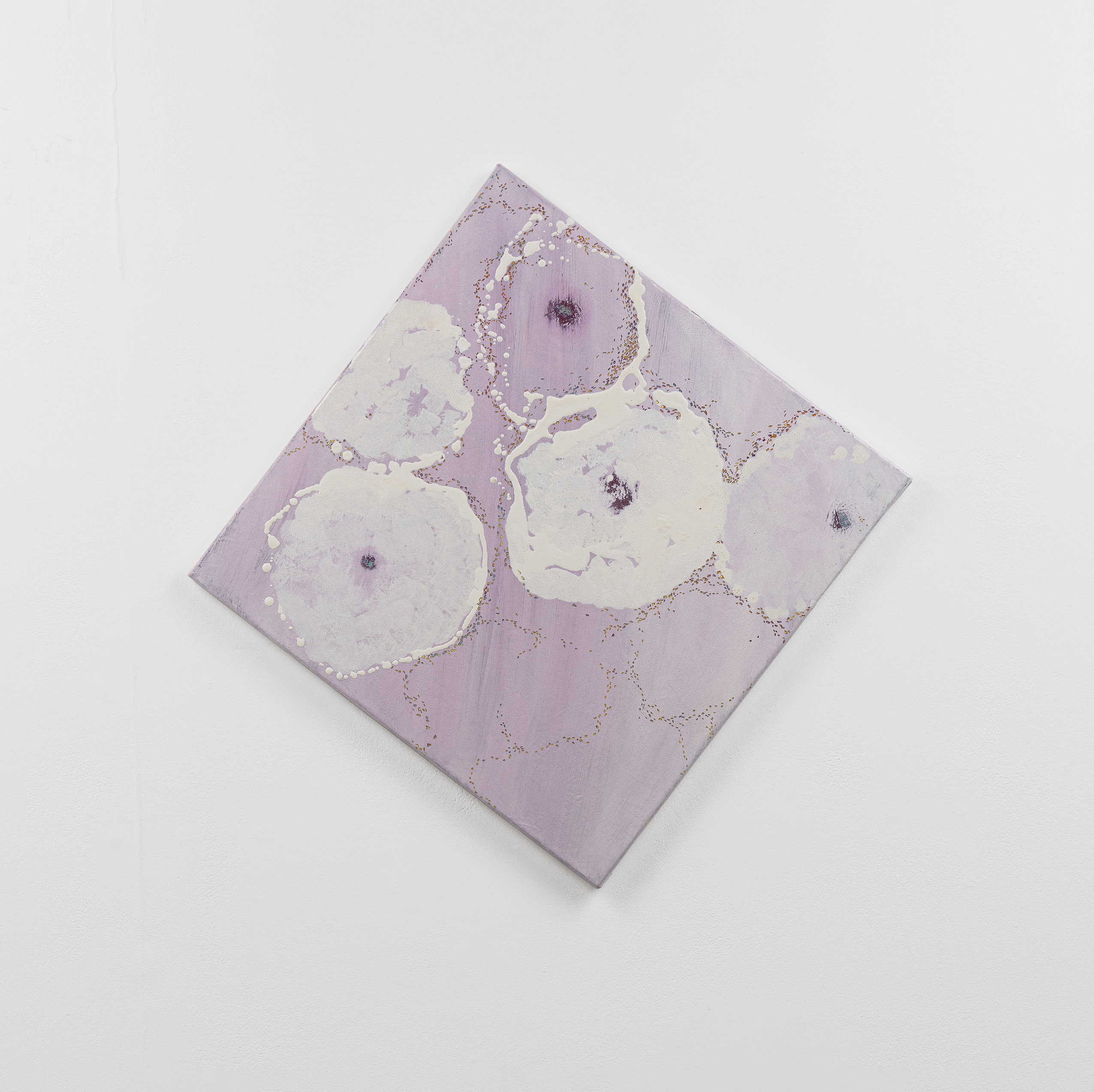 납작복숭아와 개미