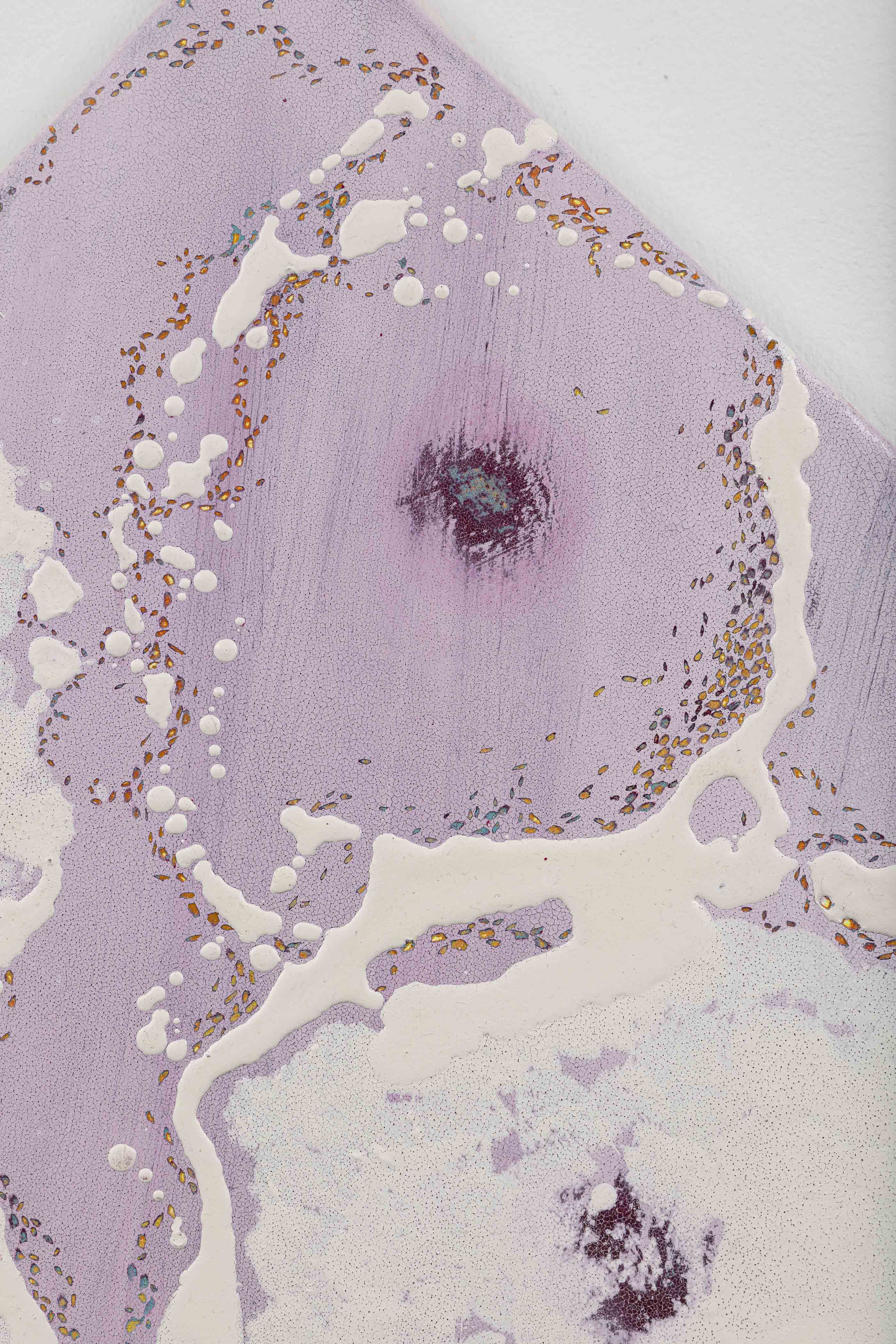 납작복숭아와 개미