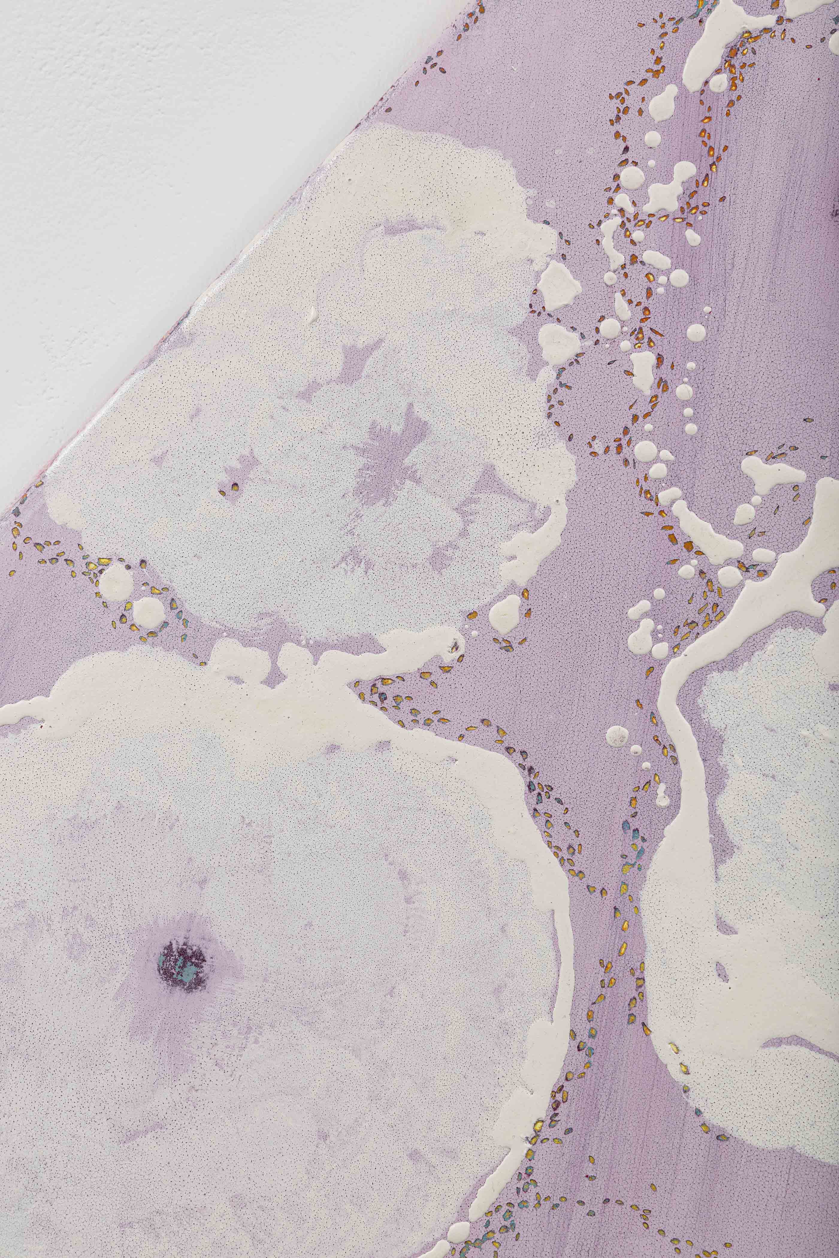 납작복숭아와 개미