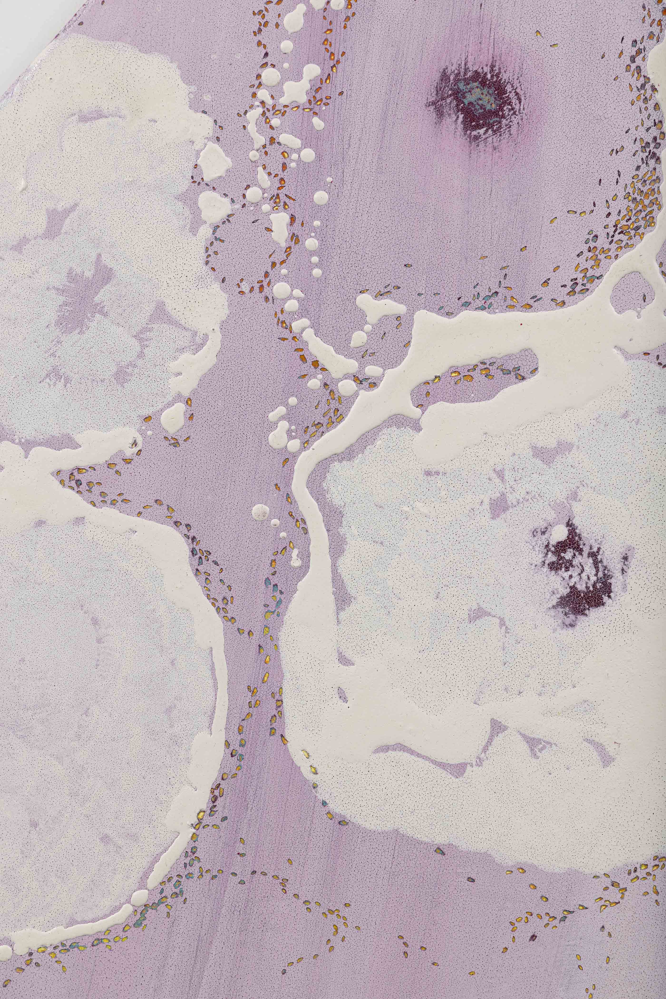 납작복숭아와 개미