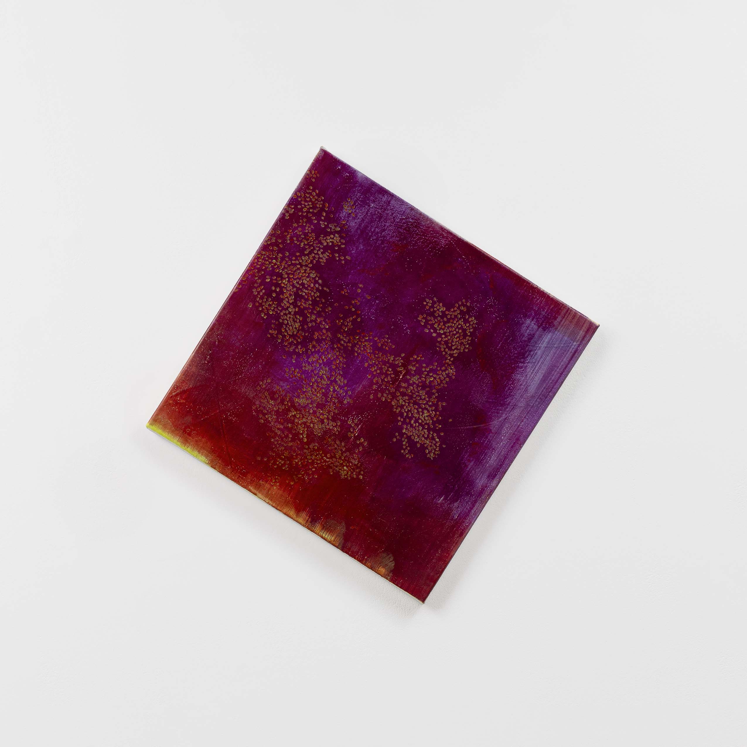 제가 사랑니를 빼서 말을 못해요.